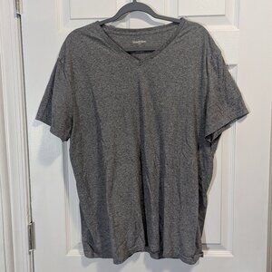 Gray V-neck